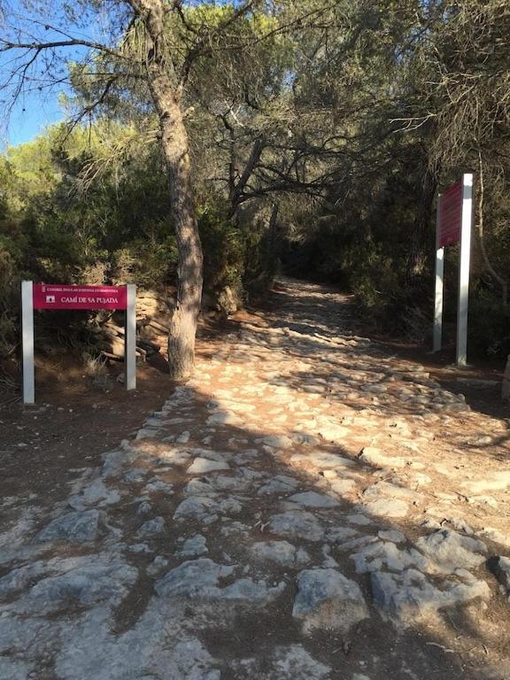 Апартаменты La Mundial Formentera Эс-Пужоль Экстерьер фото
